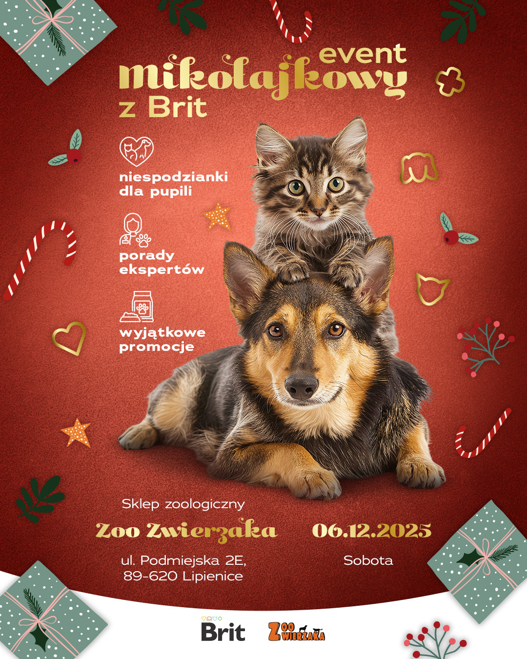 Black friday w Zoo Zwierzaka!