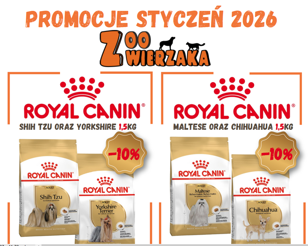 Promocje w Zoo Zwierzaka!
