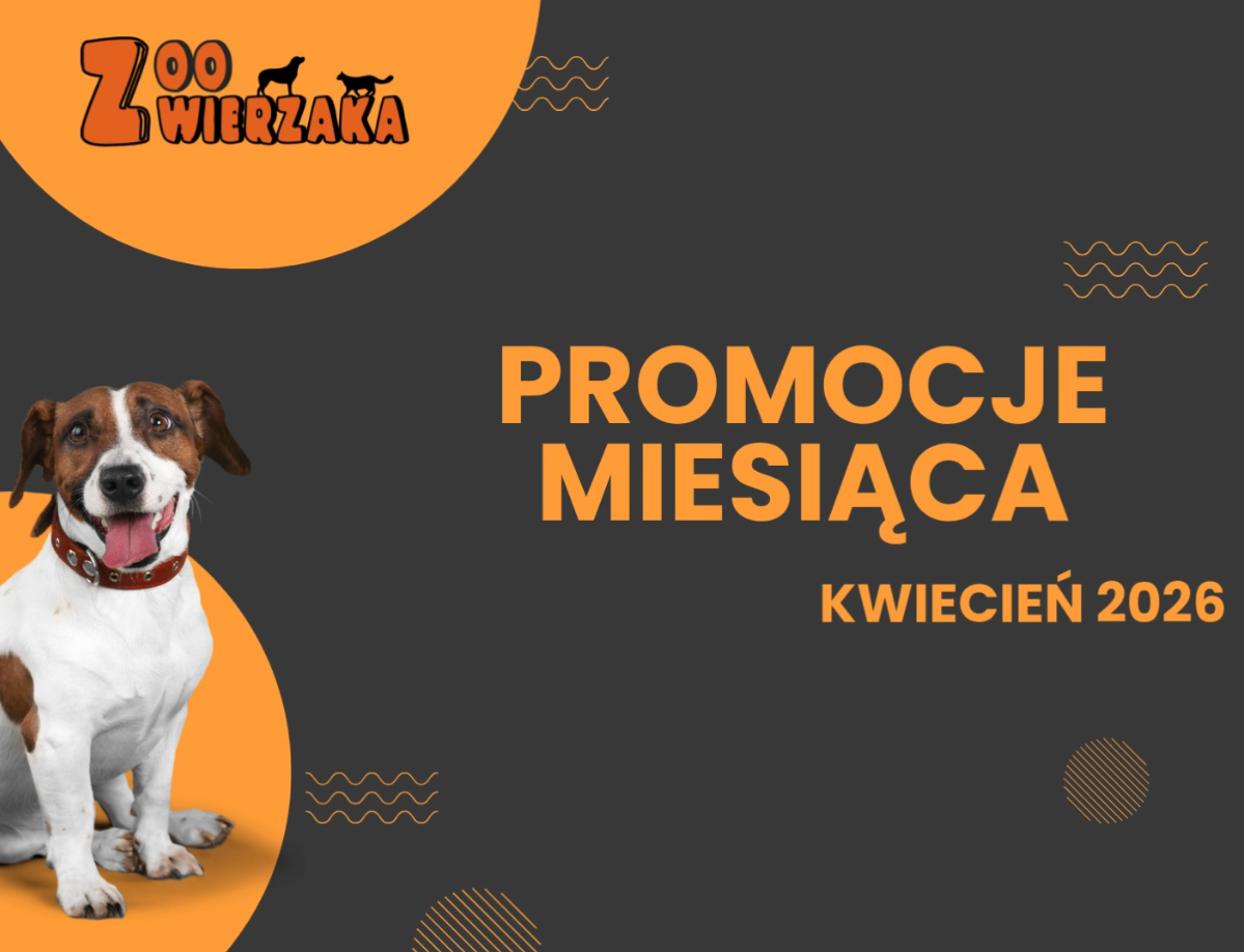 Promocje w Zoo Zwierzaka