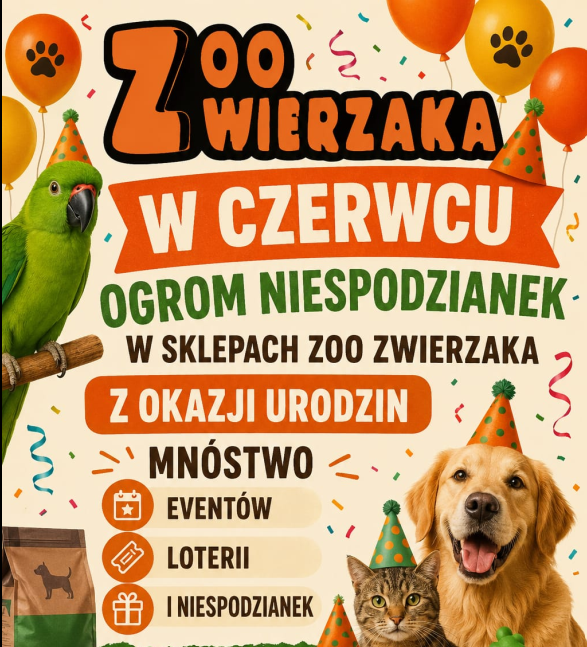 Promocja