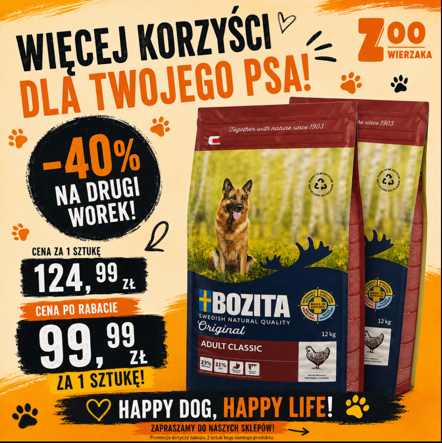 Promocja