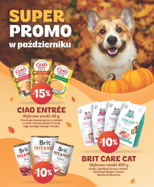Promocja