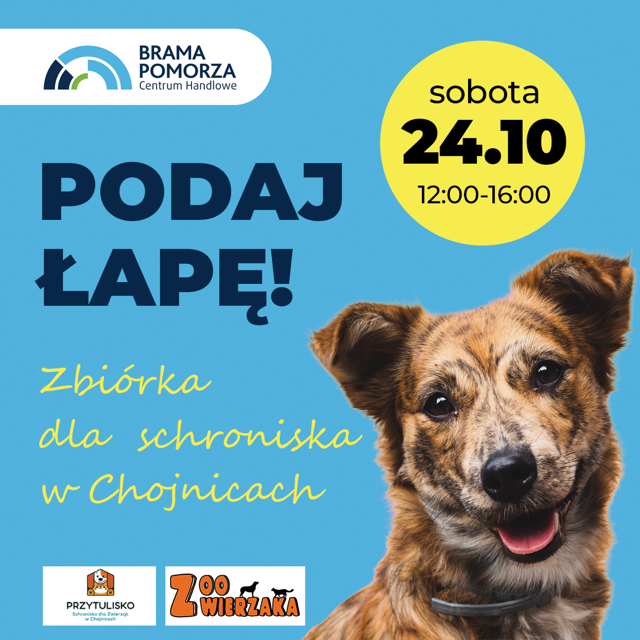Promocja